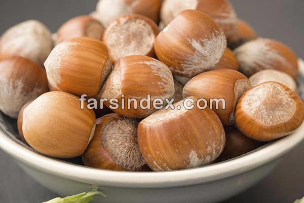 فندق, خواص فندق, مضرات فندق, خواص فندق برای کم خونی, خواص فندق برای دیابت, خواص فندق برای لاغری, خواص فندق در بارداری, خواص فندق در بدنسازی خواص فندق برای کم خونی