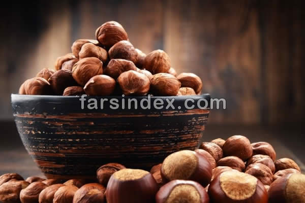 فندق, خواص فندق, مضرات فندق, خواص فندق برای کم خونی, خواص فندق برای دیابت, خواص فندق برای لاغری, خواص فندق در بارداری, خواص فندق در بدنسازی خواص فندق در بارداری