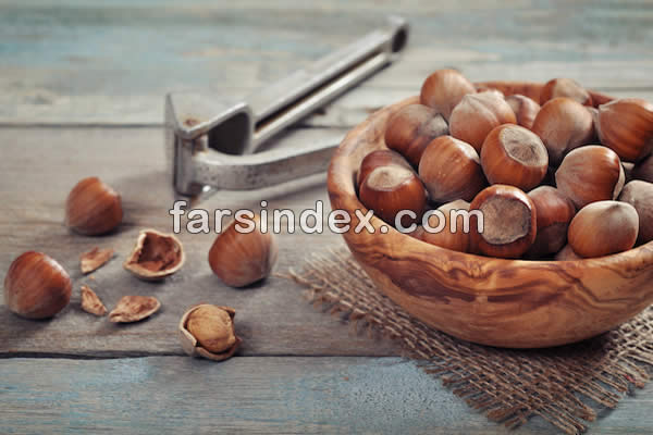 فندق, خواص فندق, مضرات فندق, خواص فندق برای کم خونی, خواص فندق برای دیابت, خواص فندق برای لاغری, خواص فندق در بارداری, خواص فندق در بدنسازی فندق, خواص فندق, مضرات فندق, خواص فندق برای کم خونی, خواص فندق برای دیابت, خواص فندق برای لاغری, خواص فندق در بارداری, خواص فندق در بدنسازی