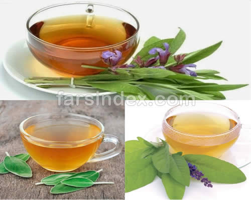 دمنوش مریم گلی / خواص دمنوش مریم گلی / عوارض دمنوش مریم گلی / نام دیگر مریم گلی / دمنوش مریم گلی برای لاغری / نحوه مصرف مریم گلی