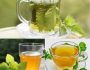 دمنوش گزنه / چای گزنه / خواص دمنوش گزنه / مضرات دمنوش گزنه / دمنوش گزنه برای مو / دمنوش گزنه برای دیابت / دمنوش گزنه برای لاغری