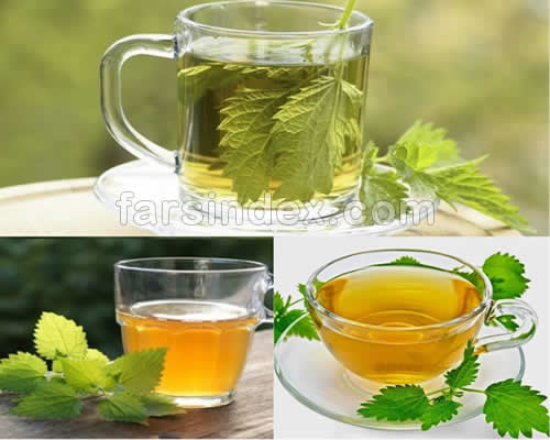 دمنوش گزنه / چای گزنه / خواص دمنوش گزنه / مضرات دمنوش گزنه / دمنوش گزنه برای مو / دمنوش گزنه برای دیابت / دمنوش گزنه برای لاغری