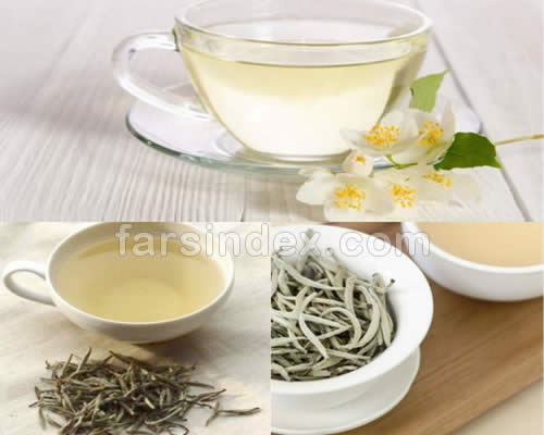 چای سفید / خواص چای سفید / مضرات چای سفید / چای سفید و لاغری / طبع چای سفید / قیمت چای سفید
