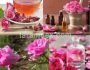 گل سرخ (گل محمدی) دمنوش گل سرخ / چای گل سرخ / خواص دمنوش گل سرخ / مربای گل سرخ