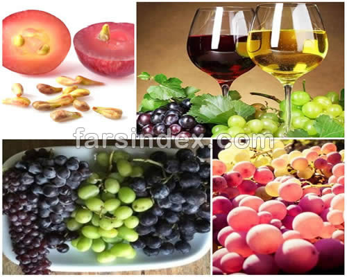 رژیم انگور / خواص رژیم انگور / نحوه گرفتن رژیم انگور / رژیم انگور در طب سنتی / چگونه رژیم انگور بگیریم / رژیم 3 روزه انگور / رژیم انگور برای لاغری