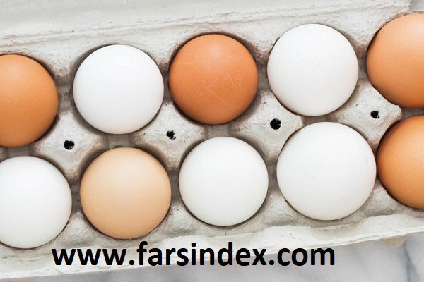 بهترین صبحانه - تخم مرغ