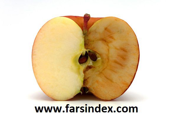 استرس اکسیداتیو
