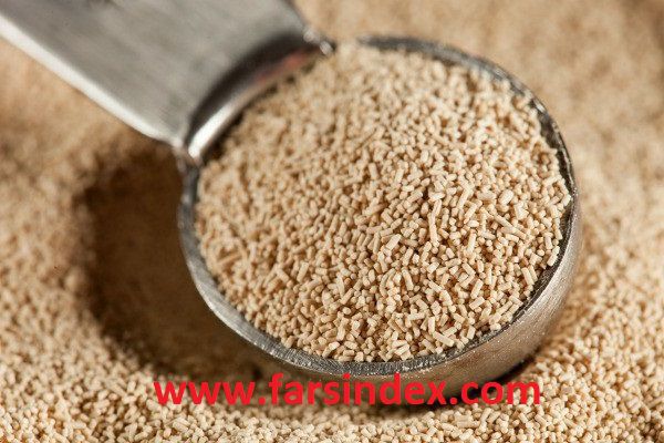 نحوه مصرف مخمر خوراکی