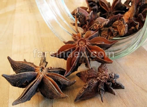 عکس گیاه انیسون, عکس انیسون, مضرات بادیان, خواص انیسون عکس گیاه انیسون, عکس انیسون, مضرات بادیان, خواص انیسون