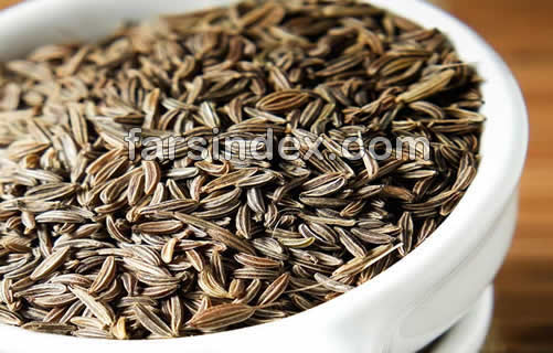 زیره سیاه, طریقه مصرف زیره سیاه, مضرات زیره سیاه, خواص زیره سیاه برای لاغری, طبع زیره سیاه, دمنوش زیره سیاه زیره سیاه, طریقه مصرف زیره سیاه, مضرات زیره سیاه, خواص زیره سیاه برای لاغری, طبع زیره سیاه, دمنوش زیره سیاه