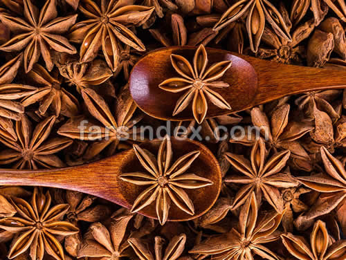 انیسون, بادیان رومی, خواص انیسون, مضرات انیسون, خواص بادیان رومی, عوارض بادیان رومی, عوارض انیسون, عکس گیاه انیسون, عکس انیسون, مضرات بادیان, عکس گیاه انیسون انیسون, بادیان رومی, خواص انیسون, مضرات انیسون, خواص بادیان رومی, عوارض بادیان رومی, عوارض انیسون, عکس گیاه انیسون, عکس انیسون, مضرات بادیان, عکس گیاه انیسون