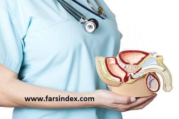 ساختار پروستات