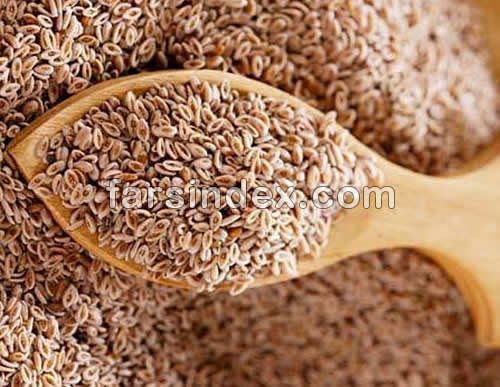 خواص زنیان, عوارض زنیان, طریقه مصرف زنیان, نام دیگر زنیان چیست