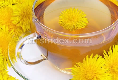 گیاه قاصدک, گل قاصدک, طبع گیاه قاصدک, مضرات گیاه قاصدک, خواص گیاه قاصدک, دمنوش گیاه قاصدک گیاه قاصدک, گل قاصدک, طبع گیاه قاصدک, مضرات گیاه قاصدک, خواص گیاه قاصدک, دمنوش گیاه قاصدک