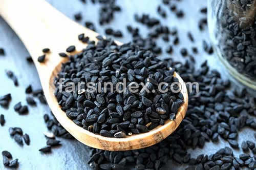 خواص سیاه دانه, مضرات سیاه دانه, طبع سیاه دانه, عوارض خطرناک سیاه دانه, خواص سیاه دانه برای لاغری خواص سیاه دانه, مضرات سیاه دانه, طبع سیاه دانه, عوارض خطرناک سیاه دانه, خواص سیاه دانه برای لاغری