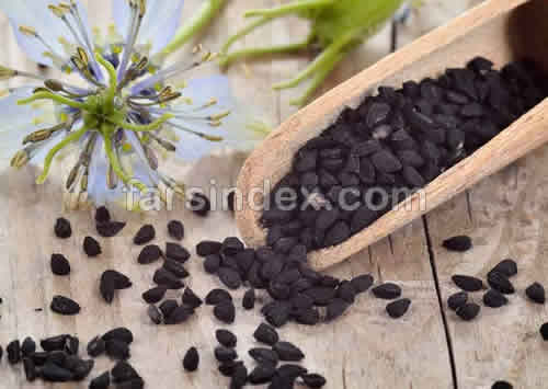 خواص سیاه دانه, مضرات سیاه دانه, طبع سیاه دانه, عوارض خطرناک سیاه دانه, خواص سیاه دانه برای لاغری خواص سیاه دانه, مضرات سیاه دانه, طبع سیاه دانه, عوارض خطرناک سیاه دانه, خواص سیاه دانه برای لاغری